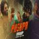 Pushpa Mashup 2022 Poster