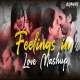 Feelings In Love Mashup 2022 Poster