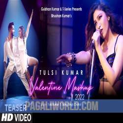 Tulsi Kumar's Valentine Mashup 2022 Poster