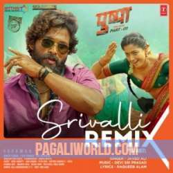 Srivalli Remix Poster