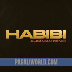 Habibi Remix Poster