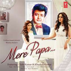 Mere Papa Poster