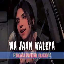 Ve Jaan Walia Poster