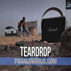 Teardrop Poster