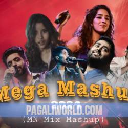 Trending Mega Mashup 2024 Poster