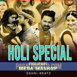 Bhojpuri Mega Holi Mashup Poster