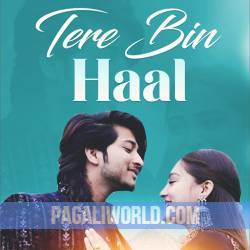 Tere Bin Haal Poster