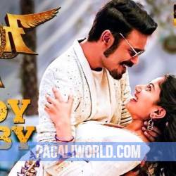 Rowdy Baby Maari 2 Poster