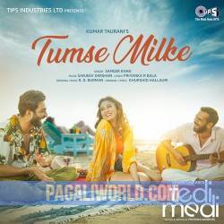 Tumse Milke Tedi Medi Poster