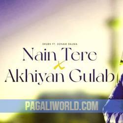 Nain Tere X Ankhiyan Gulab Poster