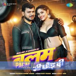 Balam Ji Chhor Di Poster