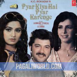 Pyar Kiya Hai Pyar Karenge Poster