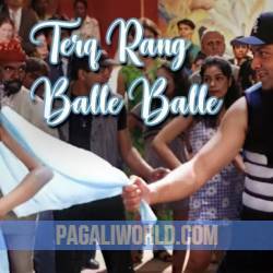 Tera Rang Balle Balle Teri Poster